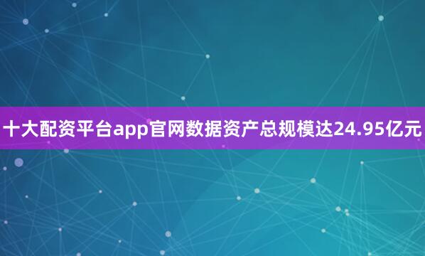 十大配资平台app官网数据资产总规模达24.95亿元