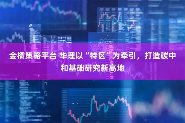 金橘策略平台 华理以“特区”为牵引，打造碳中和基础研究新高地