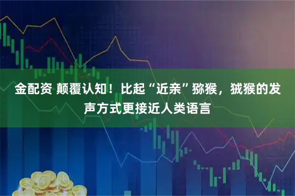 金配资 颠覆认知！比起“近亲”猕猴，狨猴的发声方式更接近人类语言
