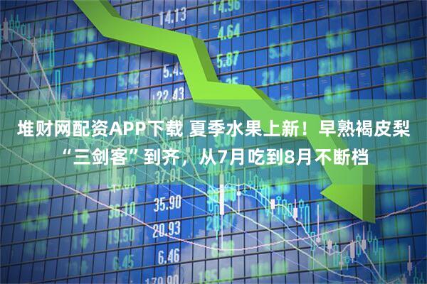 堆财网配资APP下载 夏季水果上新!早熟褐皮梨“三剑客”到齐,从7月吃到8月不断档